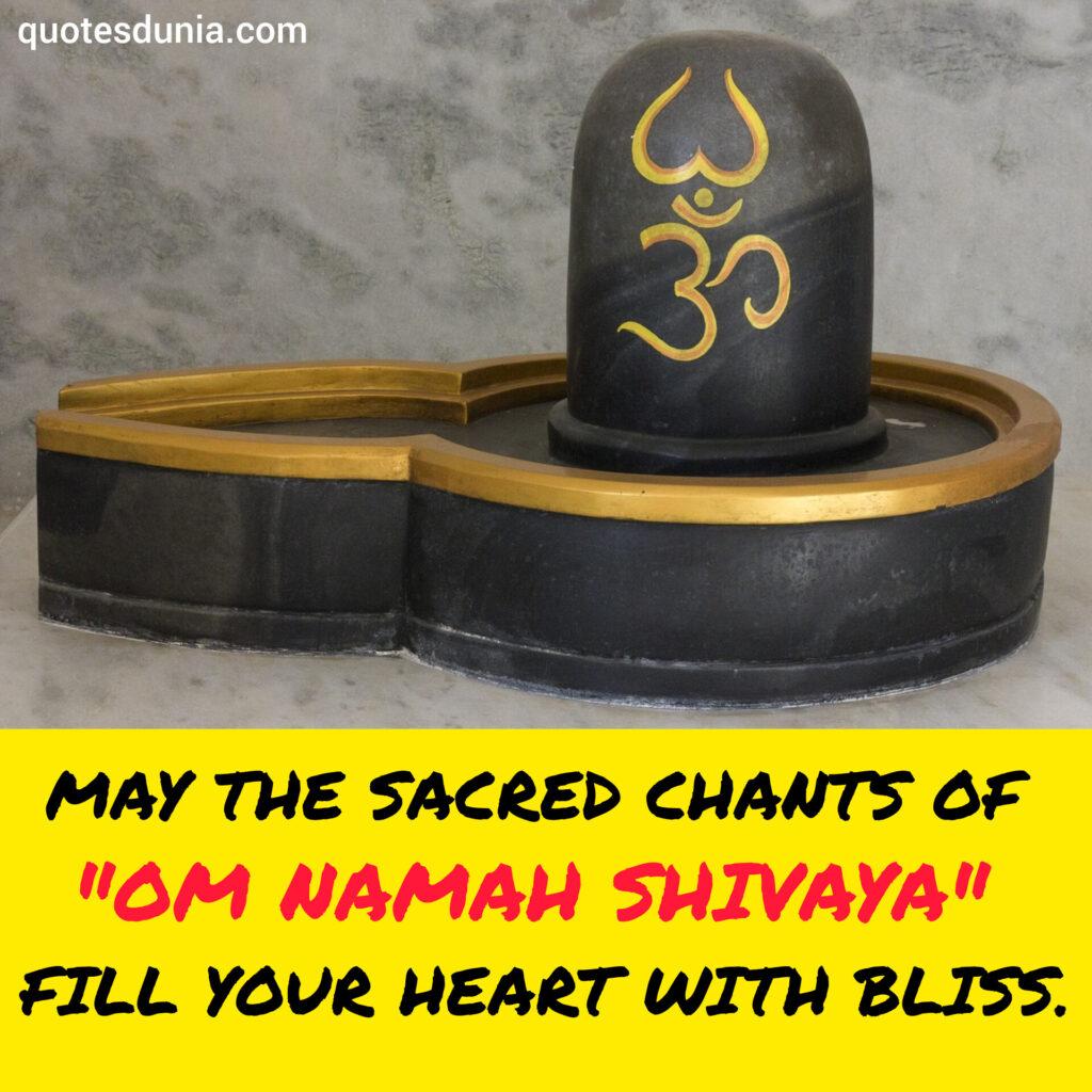 OM Namah Shivaya