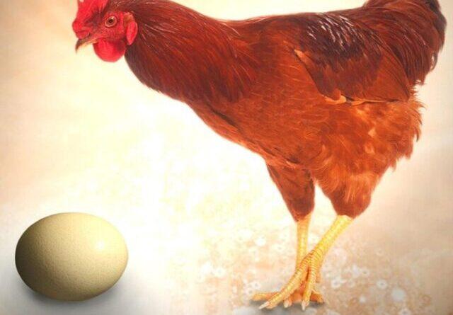 Which came first, the chicken or the egg?