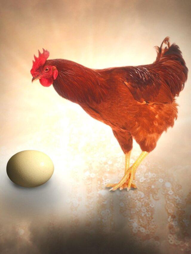 Which came first, the chicken or the egg?